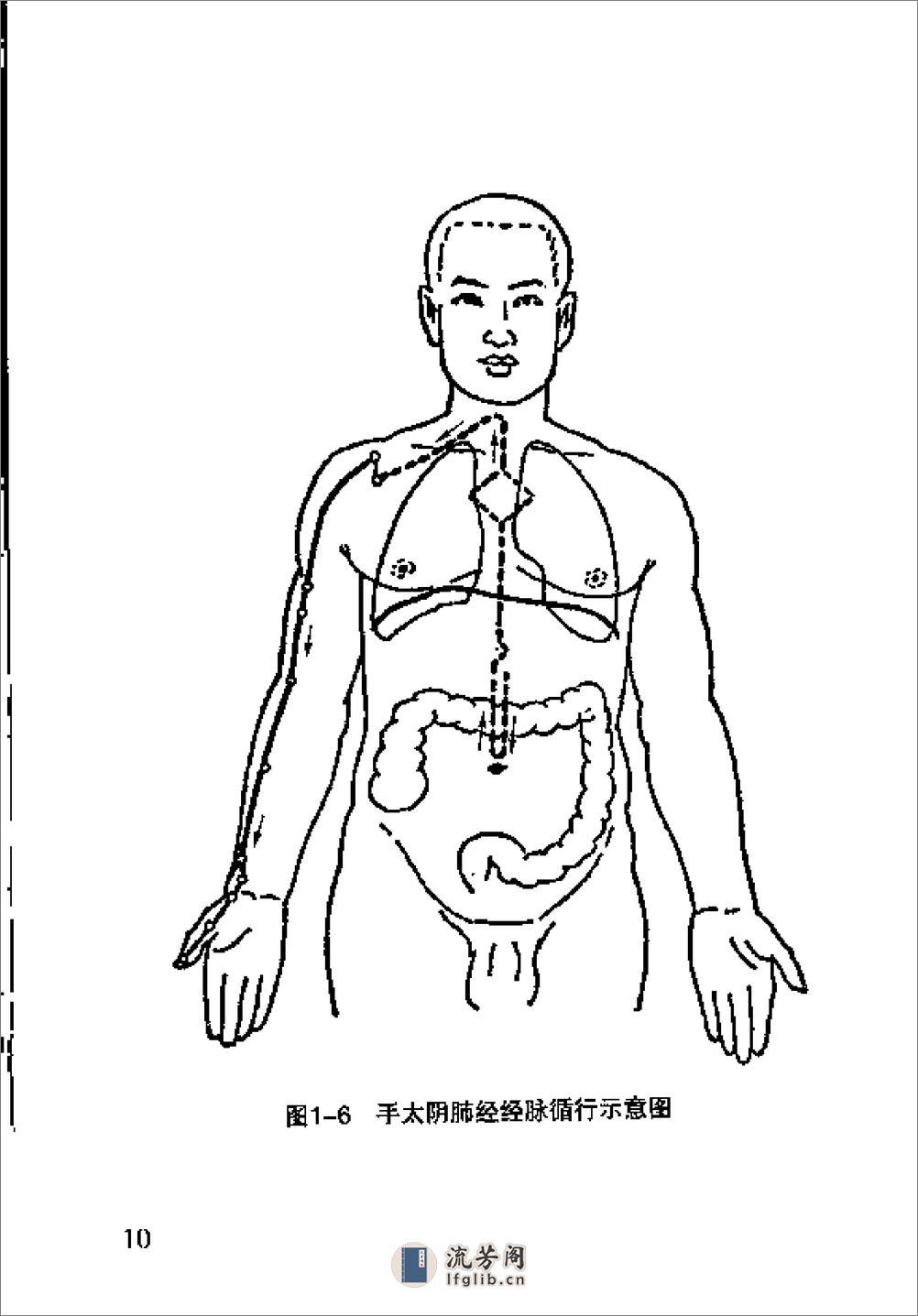 针灸经络穴位速记手册 - 第17页预览图