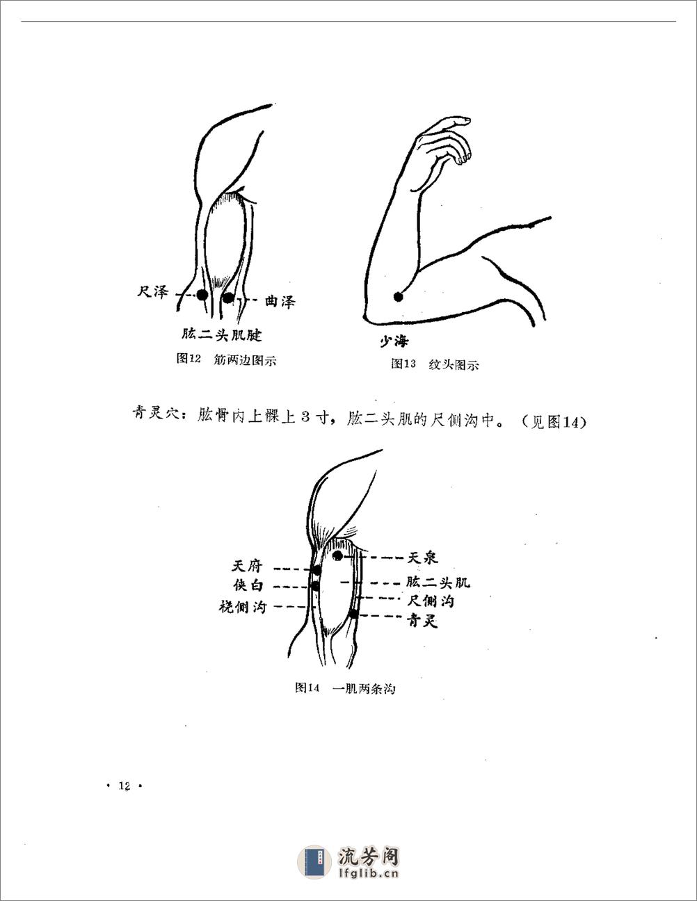 杨甲三取穴经验 - 第13页预览图