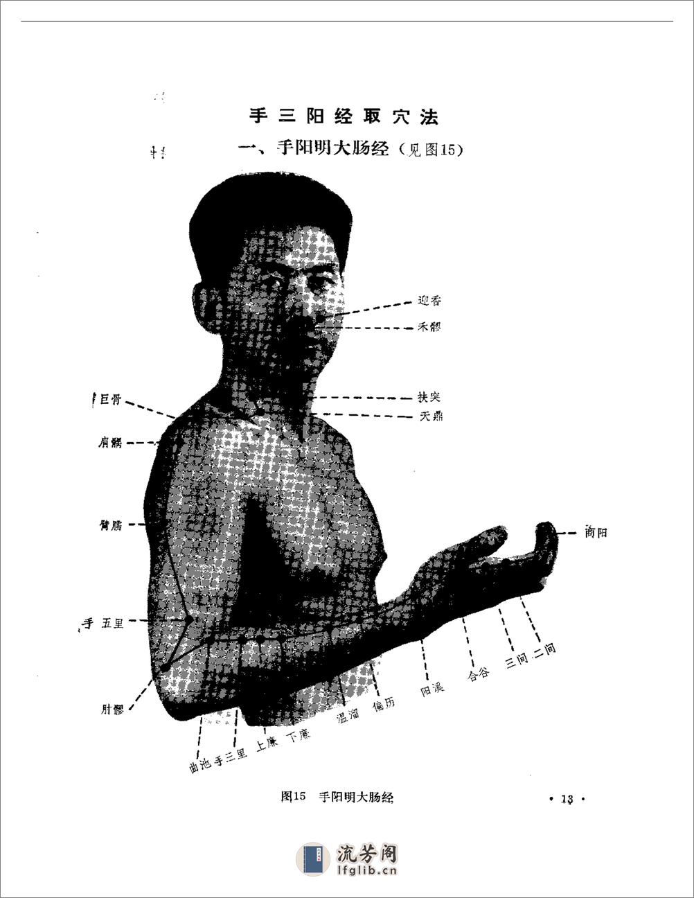 杨甲三取穴经验 - 第14页预览图