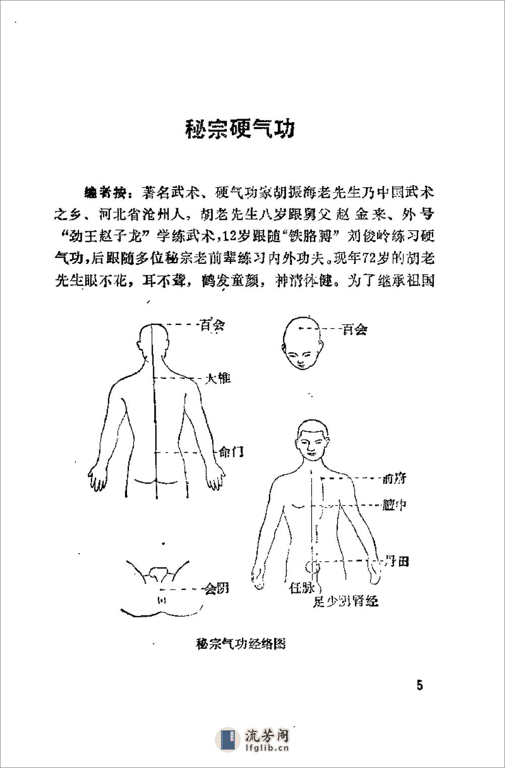 [中国硬气功精秘(一)].赵祖源,宋滇明 - 第13页预览图