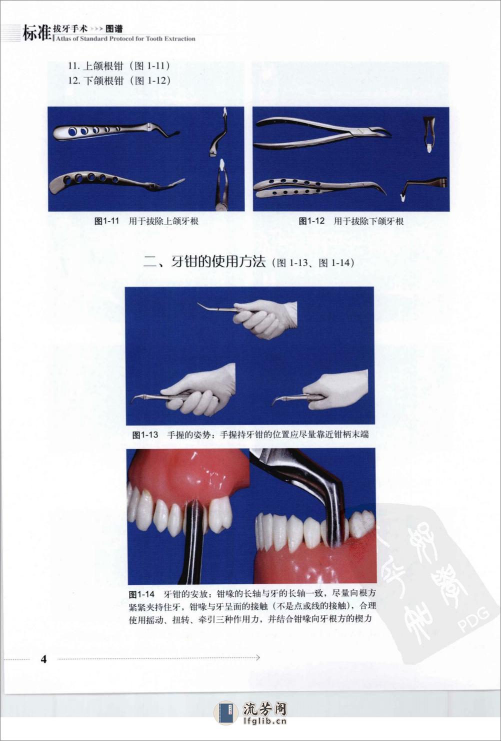 标准拔牙手术图谱 - 第18页预览图