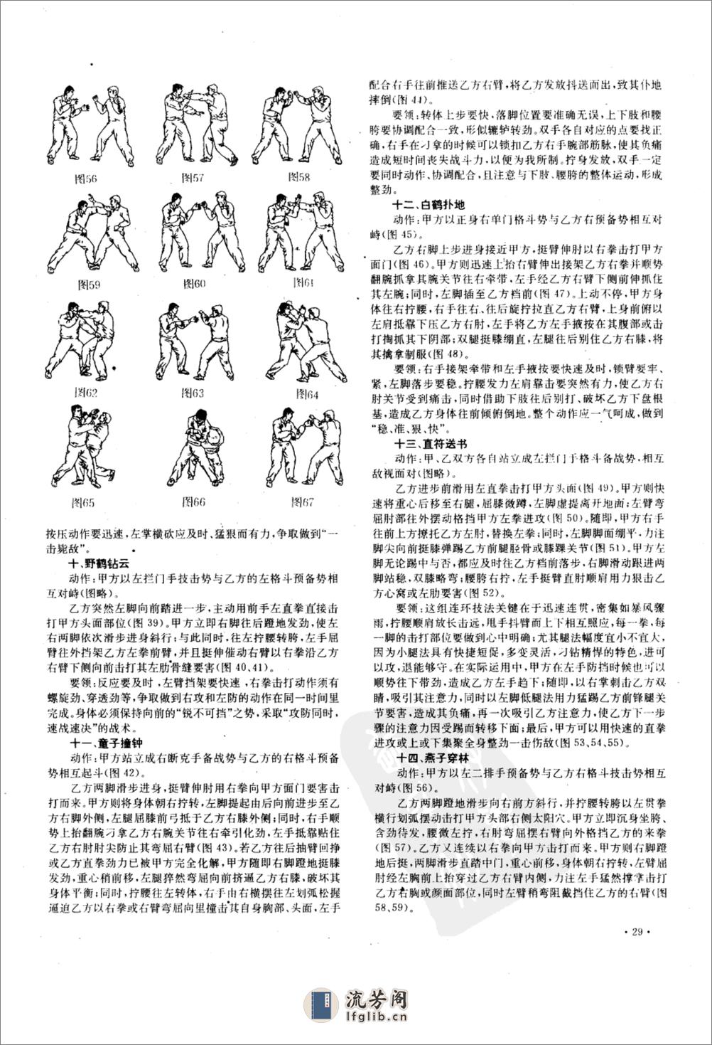 《峨嵋古规秘传：鹤形凋打一百单八法》王永文 - 第5页预览图