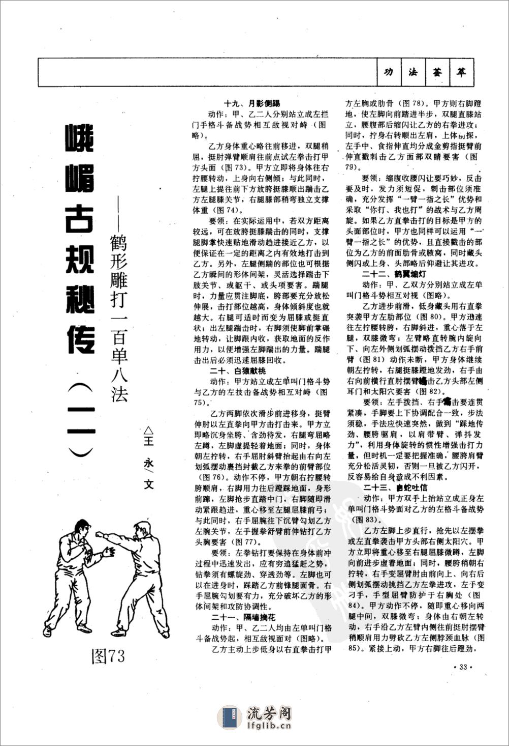 《峨嵋古规秘传：鹤形凋打一百单八法》王永文 - 第7页预览图