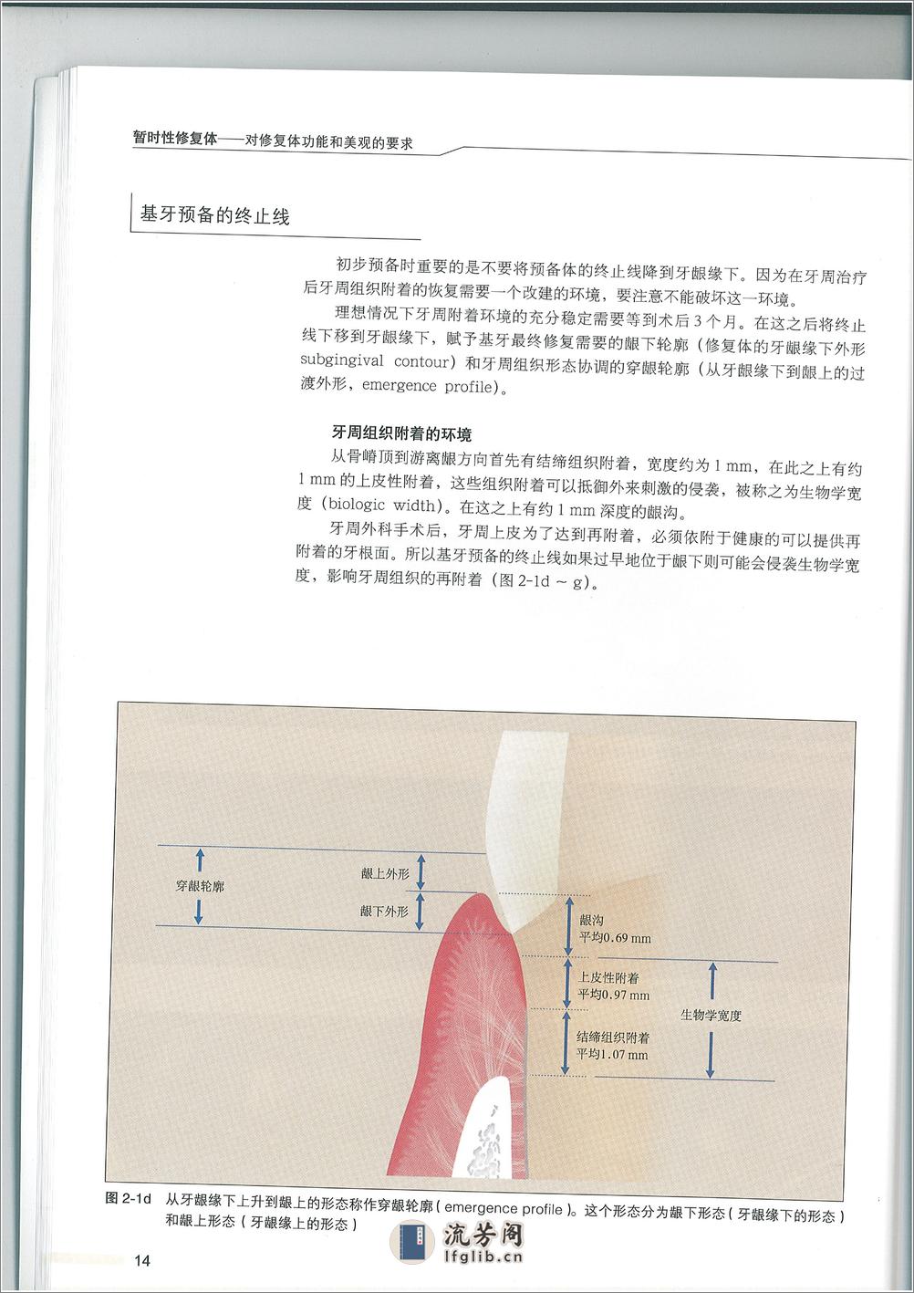 暂时修复体 - 第17页预览图