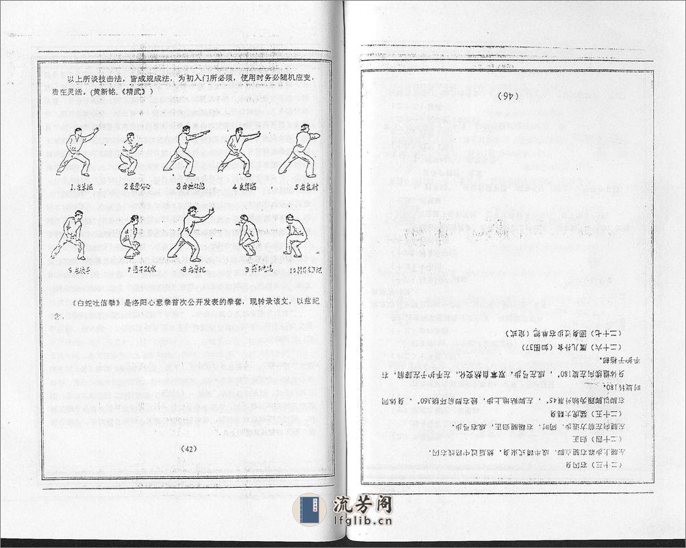 《洛阳心意拳》孙友恒 - 第20页预览图