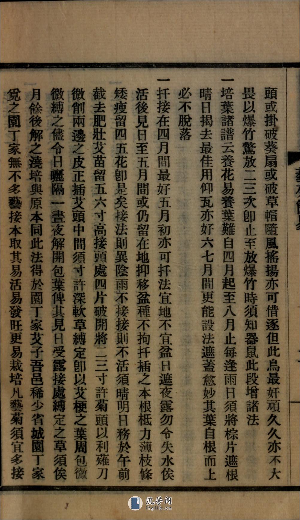 艺菊简易1卷.清.徐京撰.民国22年（1933）铅印本 - 第10页预览图