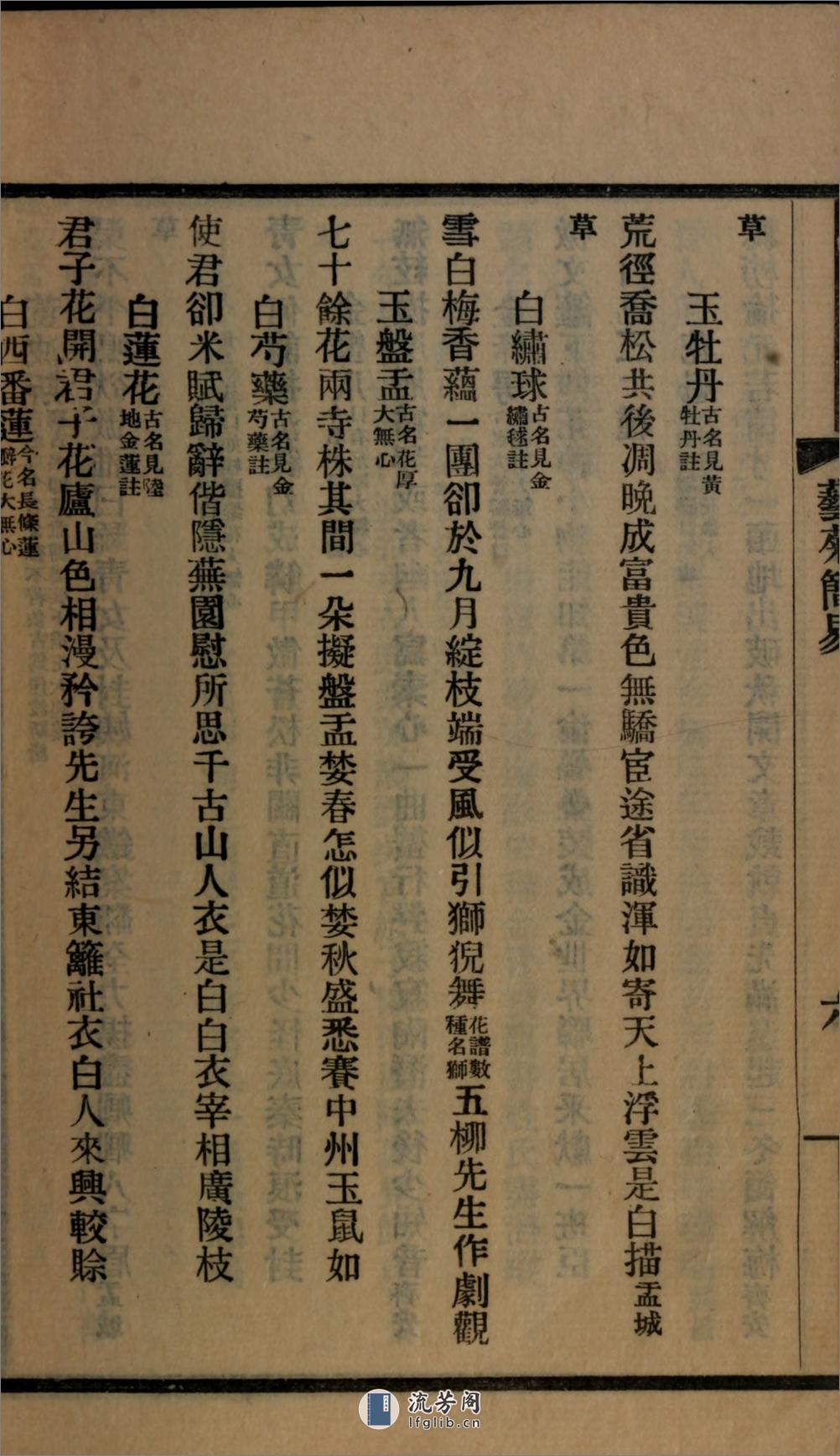 艺菊简易1卷.清.徐京撰.民国22年（1933）铅印本 - 第18页预览图