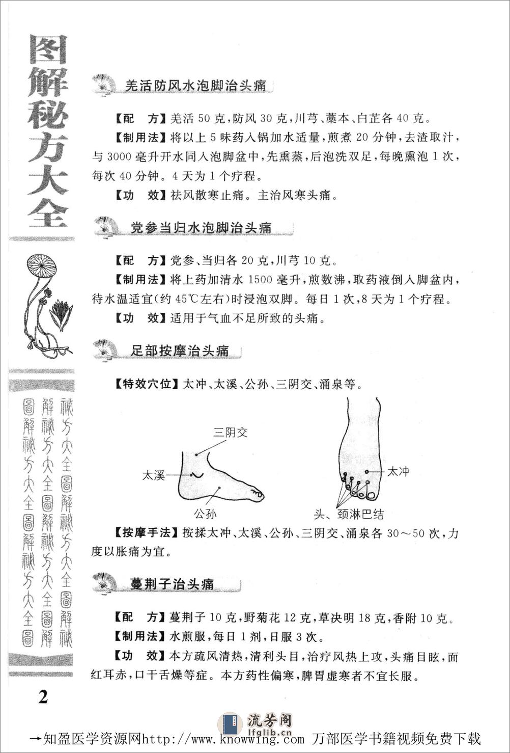 图解秘方大全（中医药养生宝典） - 第11页预览图