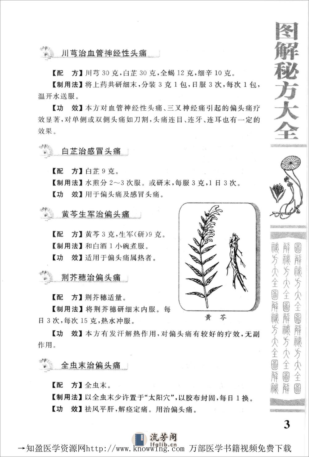 图解秘方大全（中医药养生宝典） - 第12页预览图