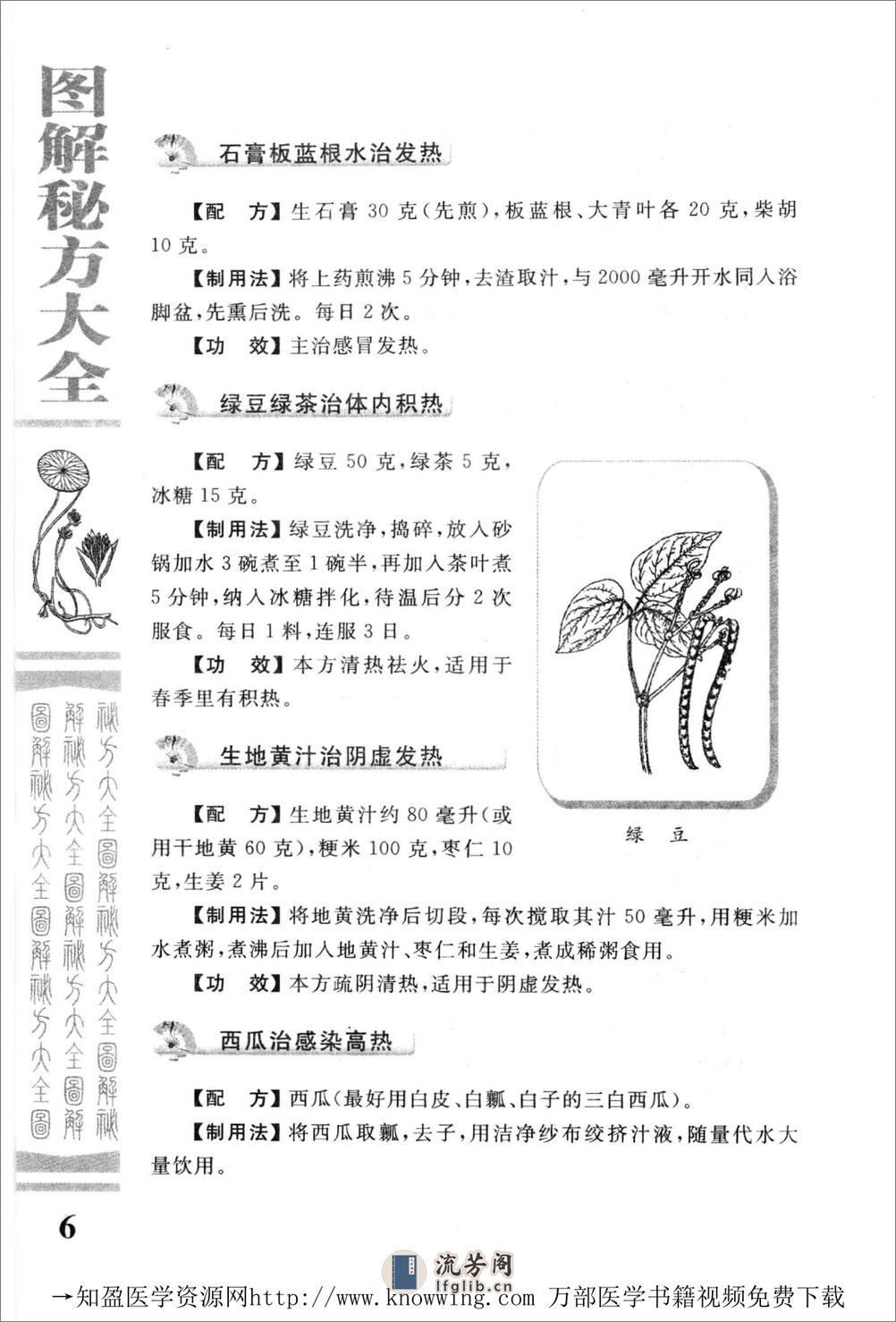 图解秘方大全（中医药养生宝典） - 第15页预览图