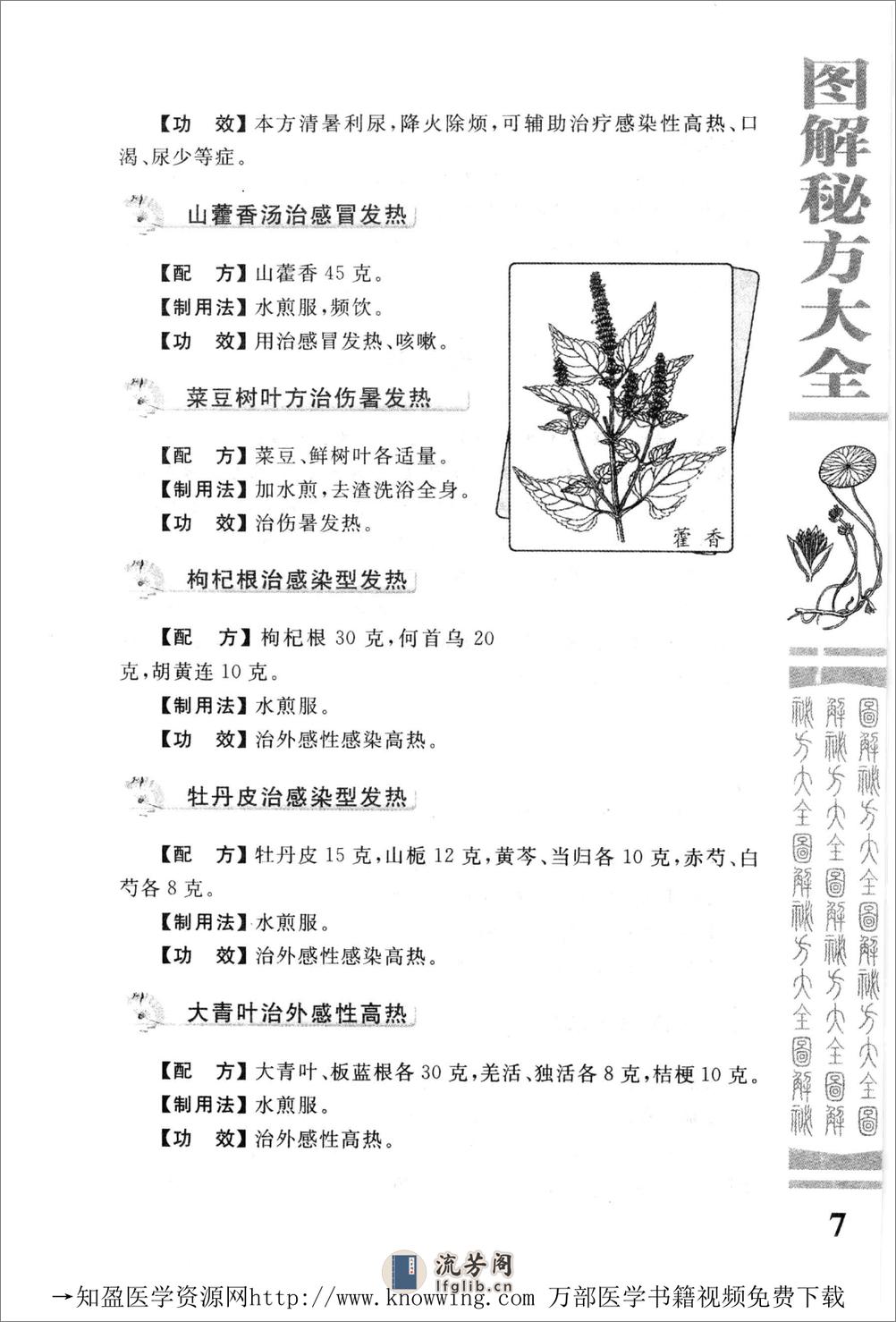 图解秘方大全（中医药养生宝典） - 第16页预览图