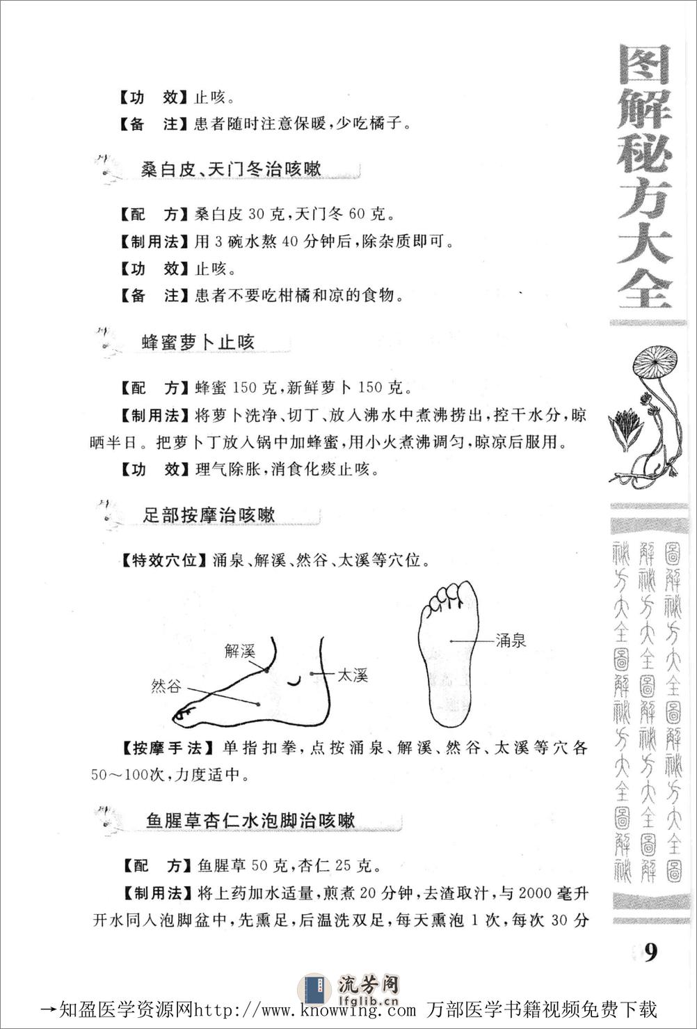 图解秘方大全（中医药养生宝典） - 第18页预览图