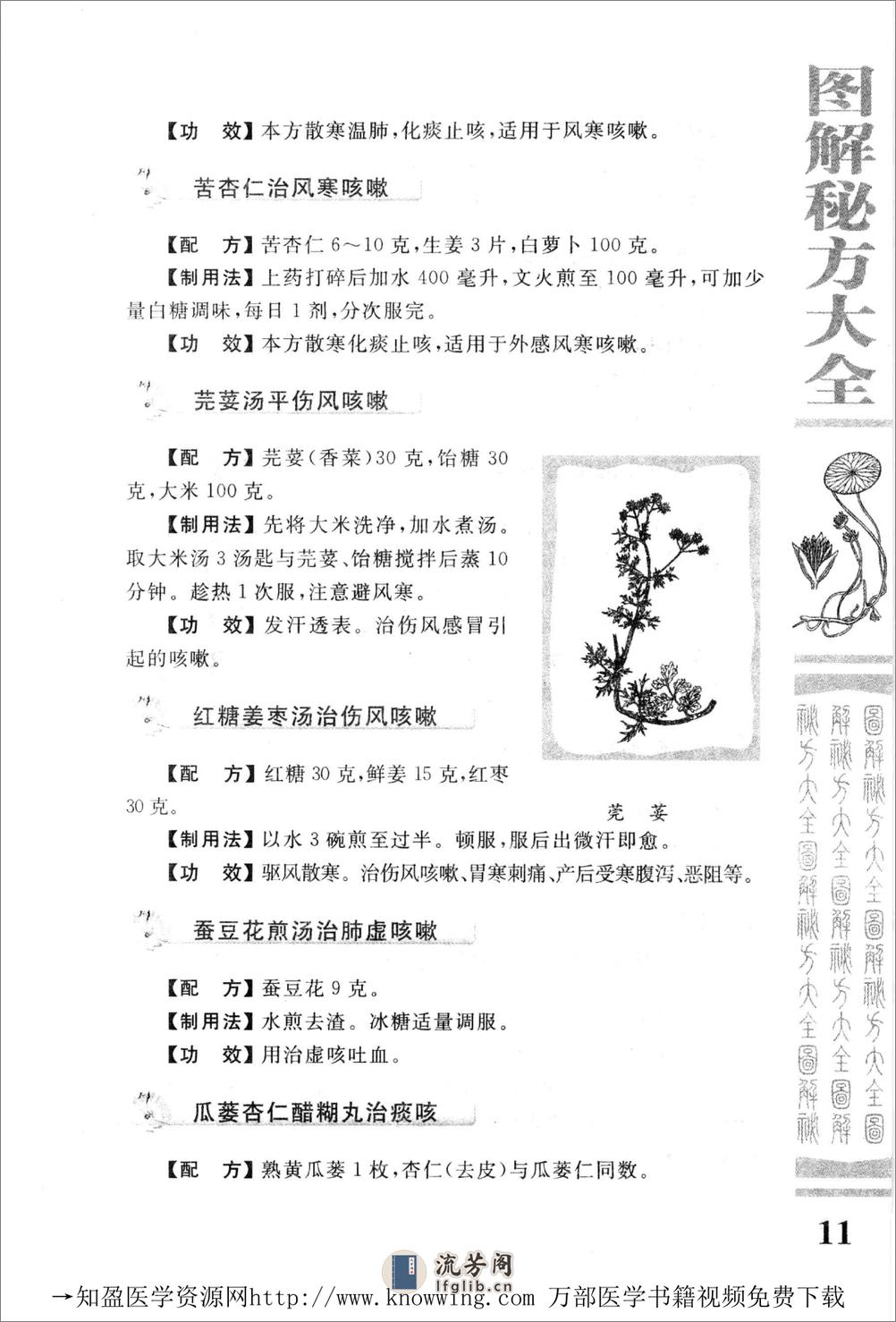 图解秘方大全（中医药养生宝典） - 第20页预览图