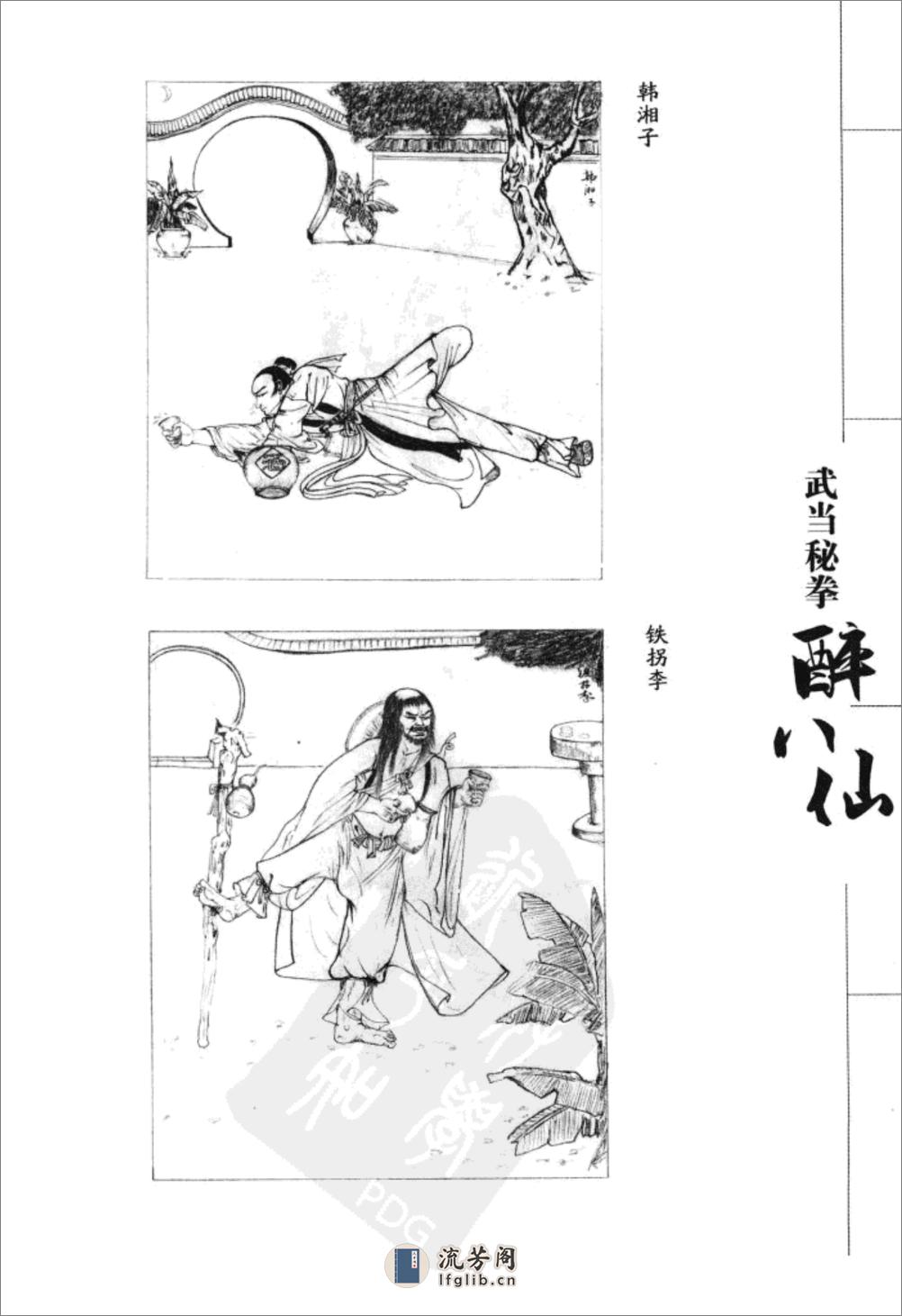 《武当秘拳醉八仙》胡玉玺 - 第5页预览图