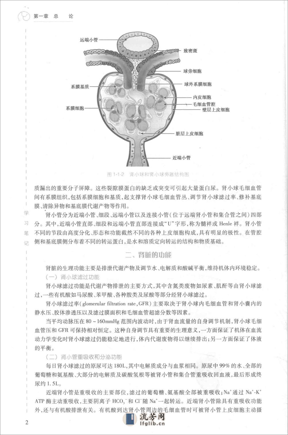 内科学 肾脏内科分册 - 第16页预览图