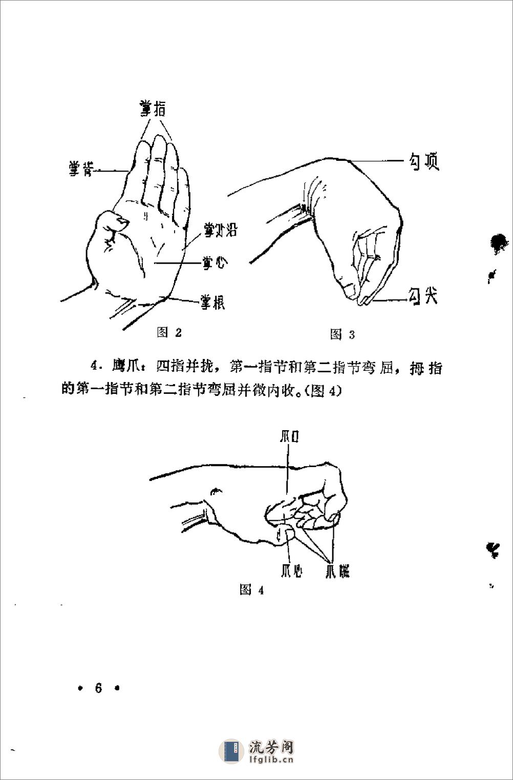 《鹰爪翻子拳》陈国庆、张星一 - 第16页预览图