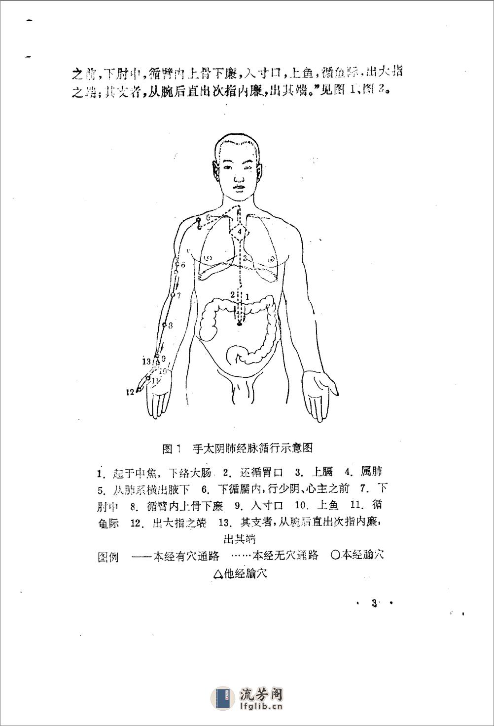 针灸经络图解 - 第16页预览图