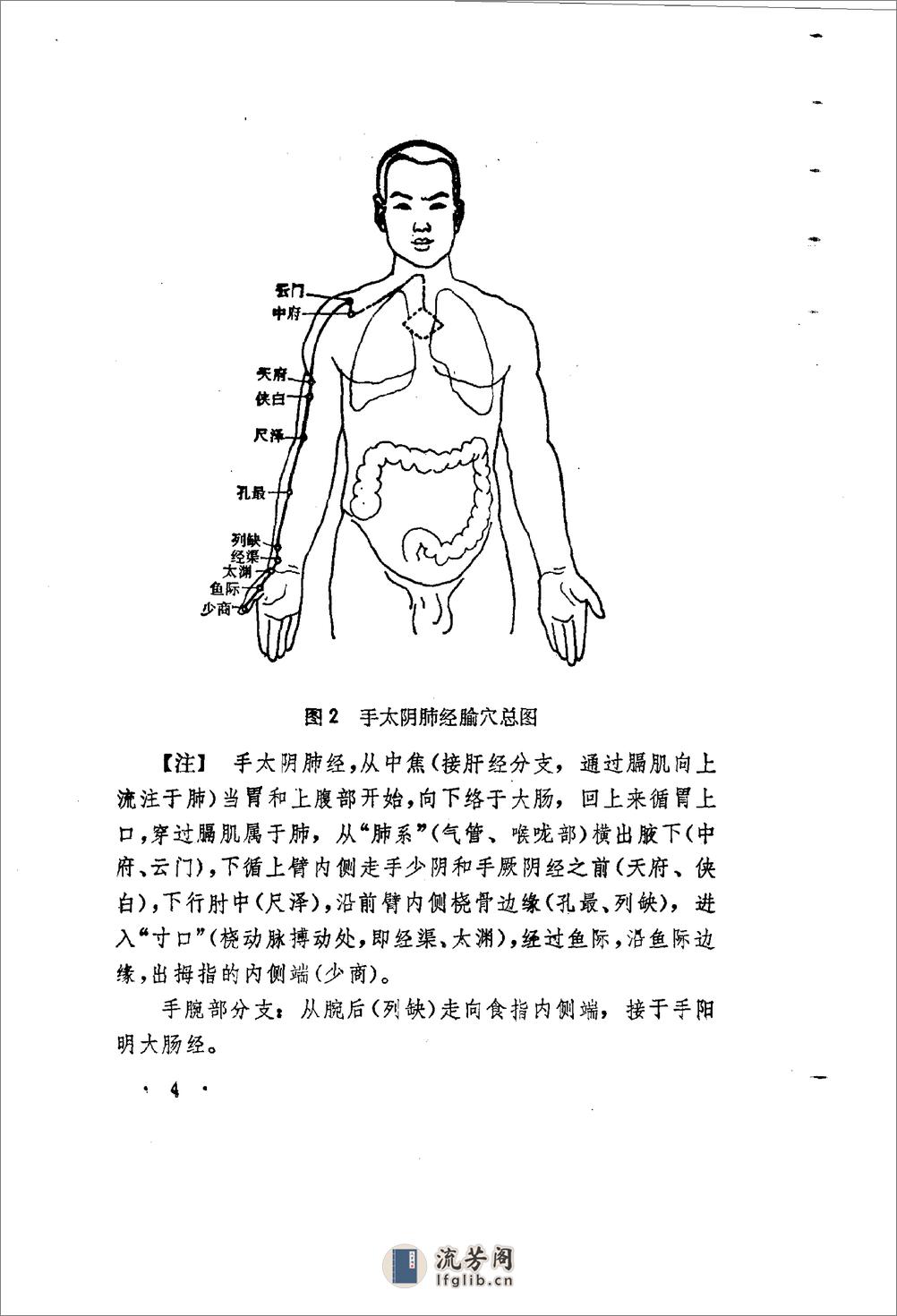 针灸经络图解 - 第17页预览图