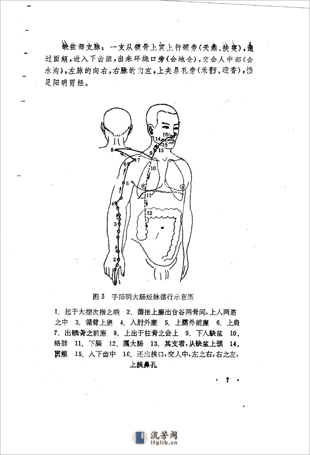 针灸经络图解 - 第20页预览图