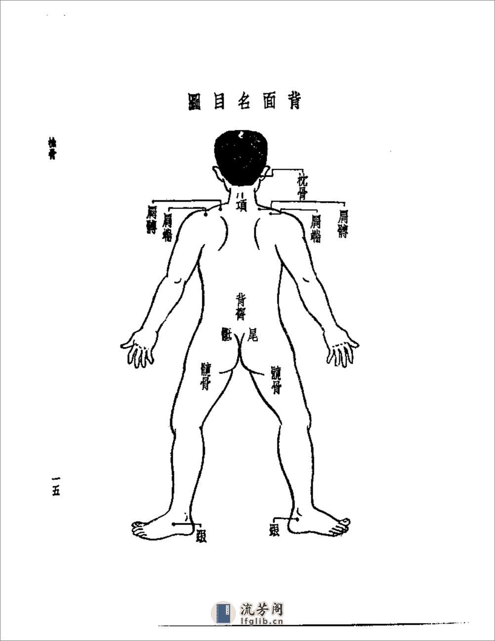 中国接骨图说 - 第20页预览图