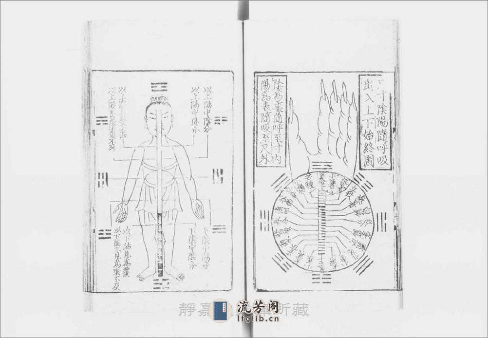 新刊晞范句解八十一难经.8卷.图1卷.周秦越人撰.宋.李駉句解.元刊.2册 - 第12页预览图