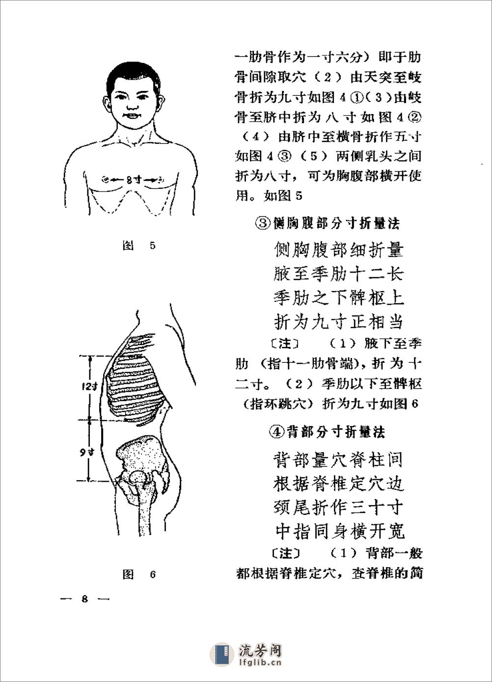 经络针灸心法 - 第17页预览图