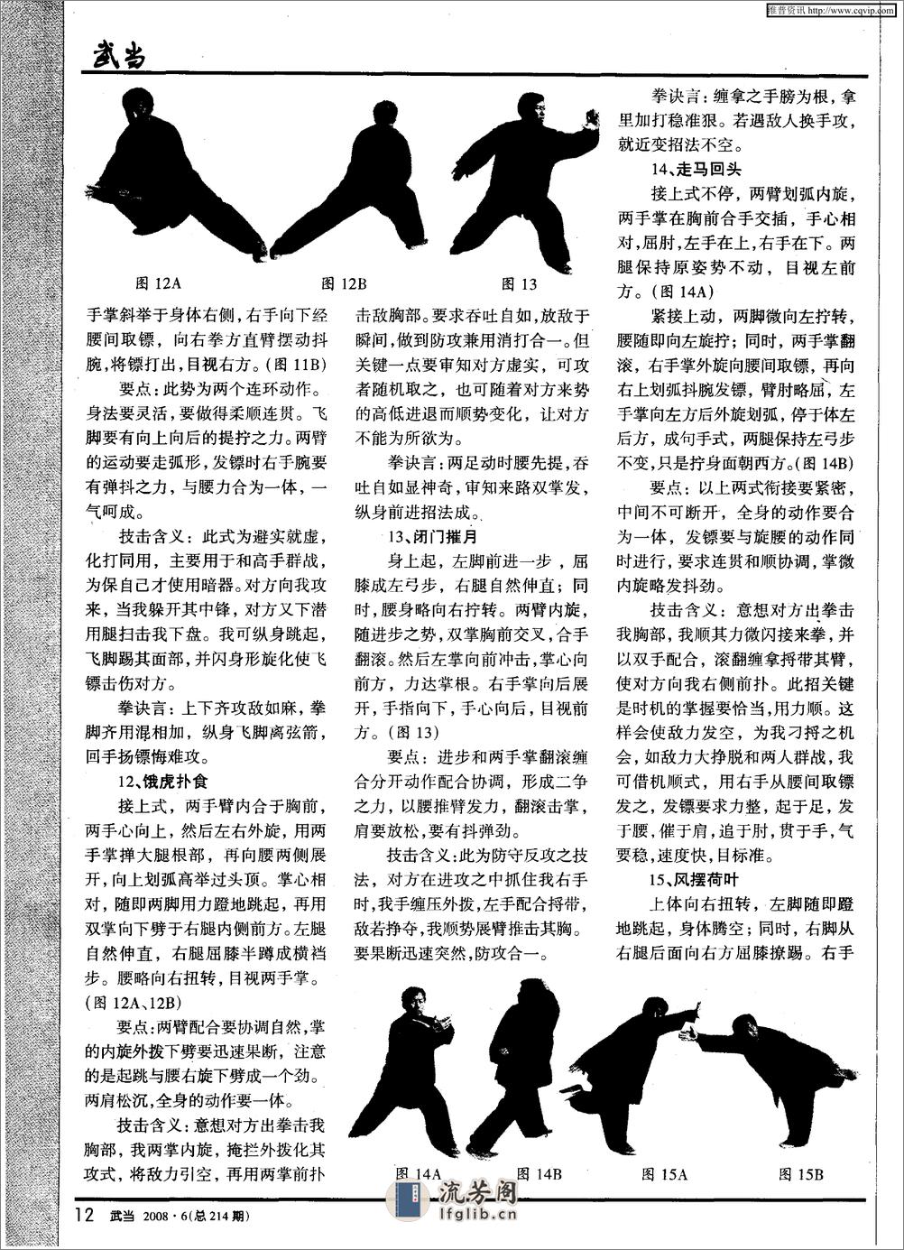 《武当飞剑术——镖拳》郭树璞 - 第5页预览图