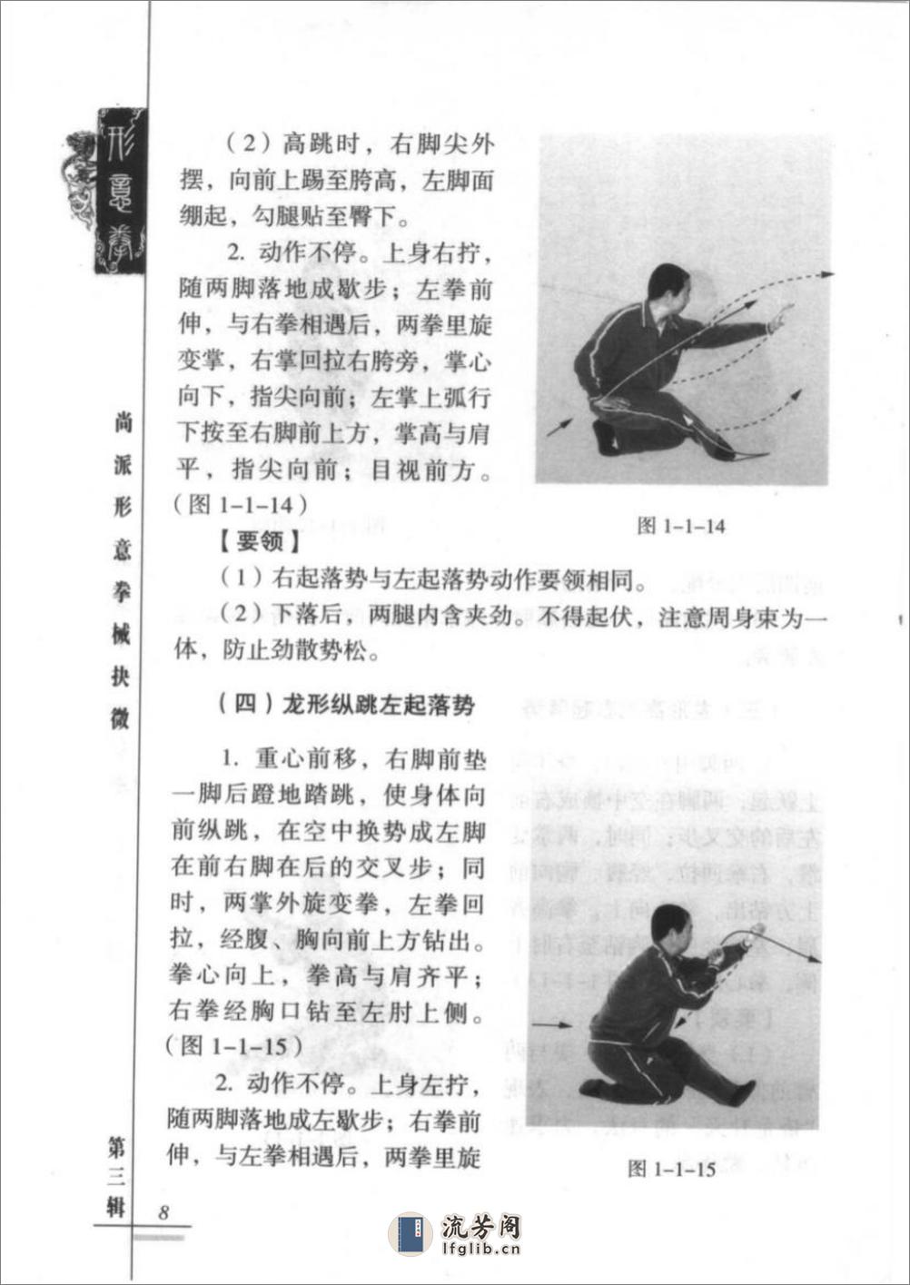 《尚派形意拳械抉微·第三辑》李宏、武高辉 - 第20页预览图