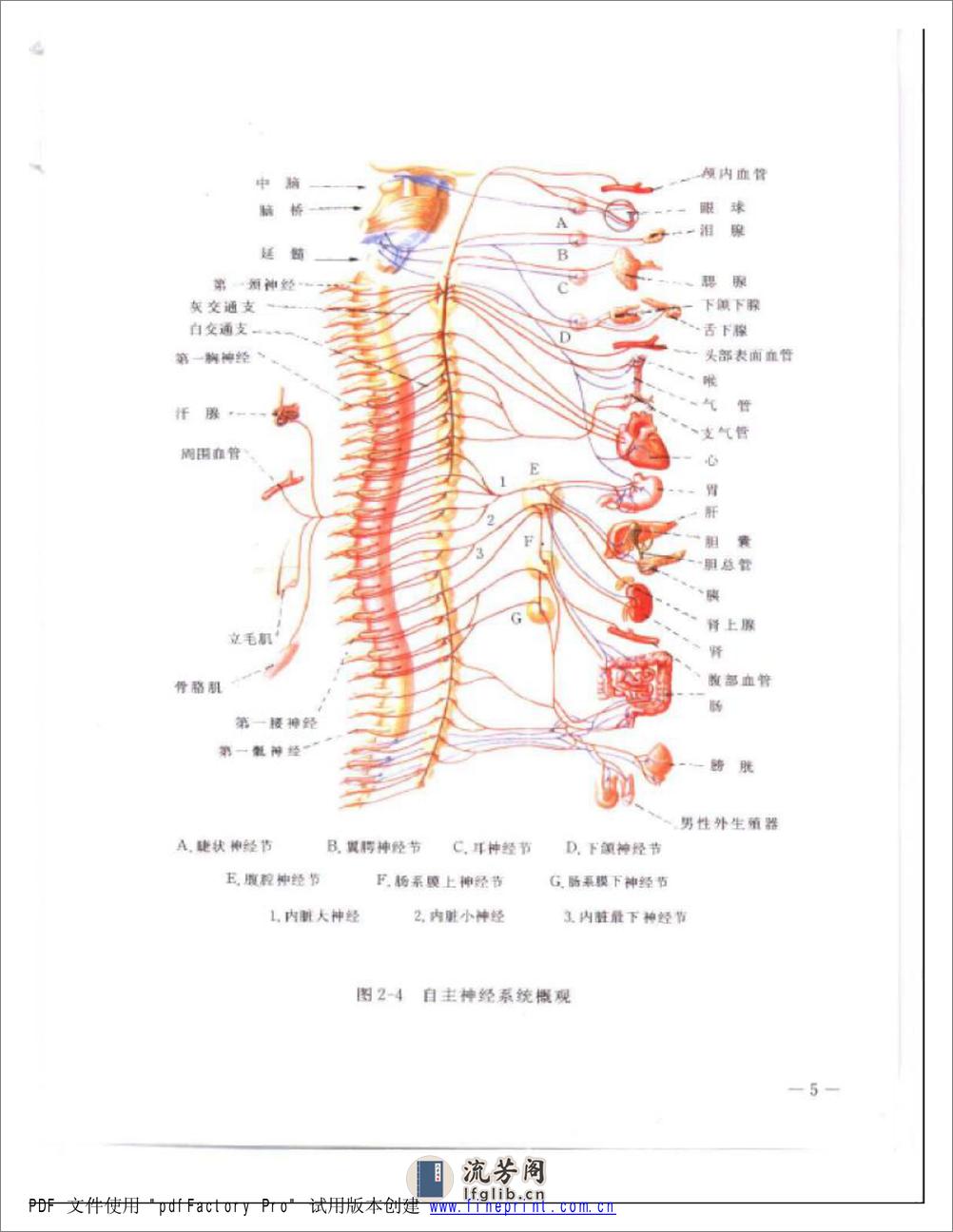 软组织伤病治疗手法彩色图谱 - 第5页预览图