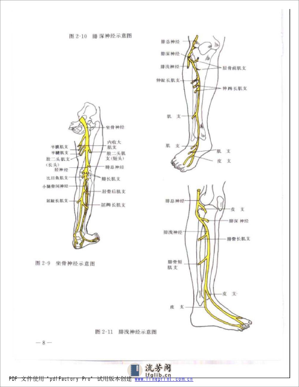 软组织伤病治疗手法彩色图谱 - 第8页预览图