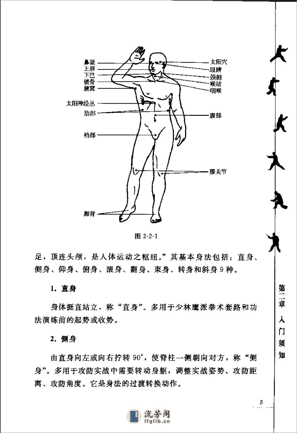 《少林鹰爪十三抓》杨维 - 第18页预览图