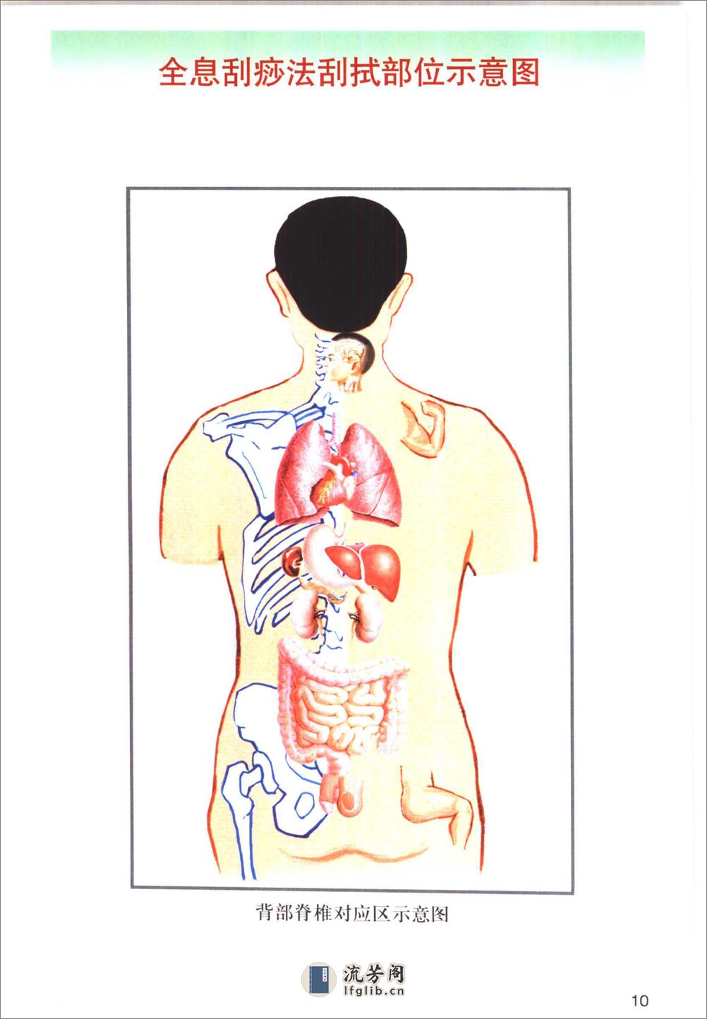 全息经络刮痧法 - 第19页预览图