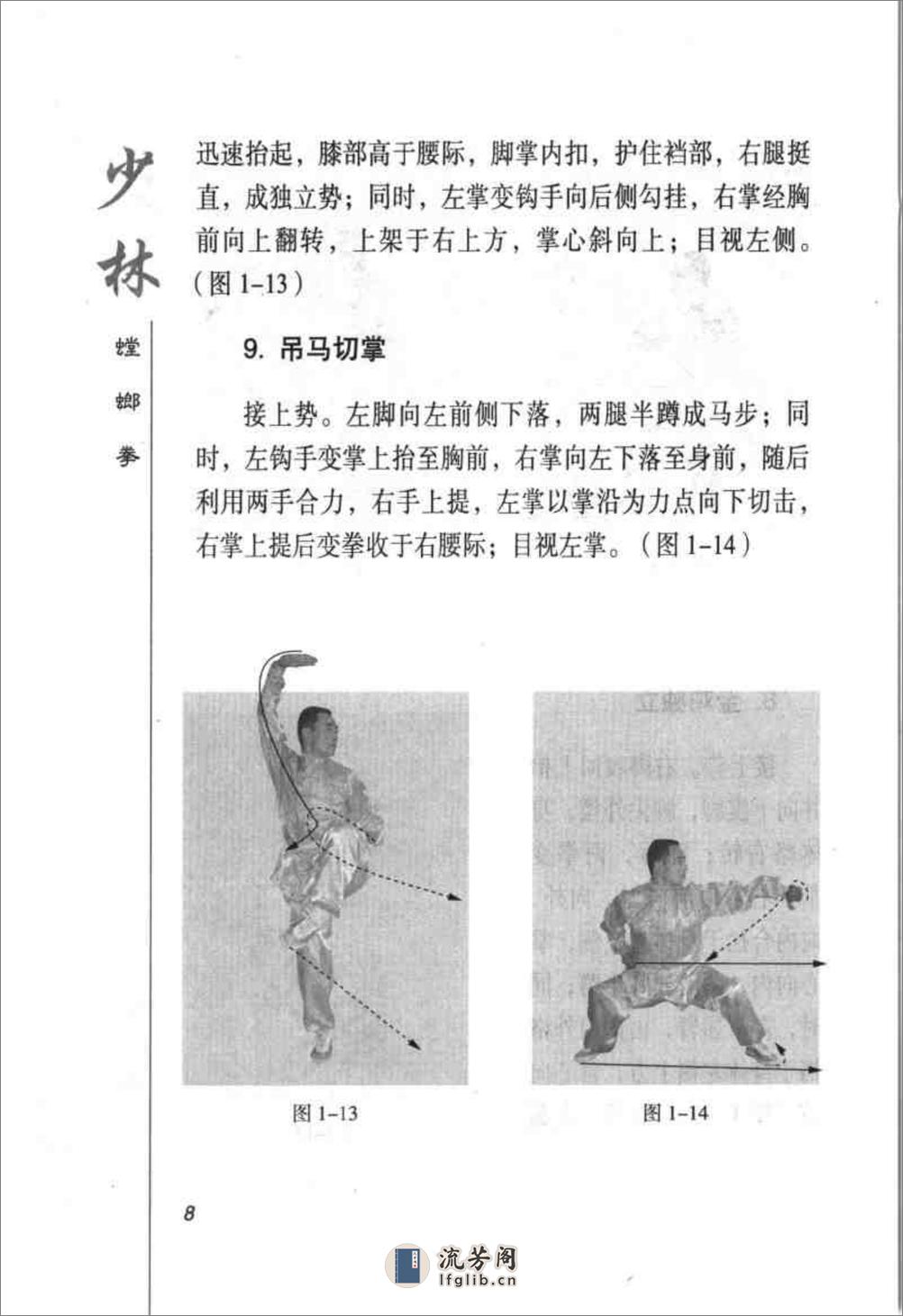 《少林螳螂拳》苏龙 - 第19页预览图