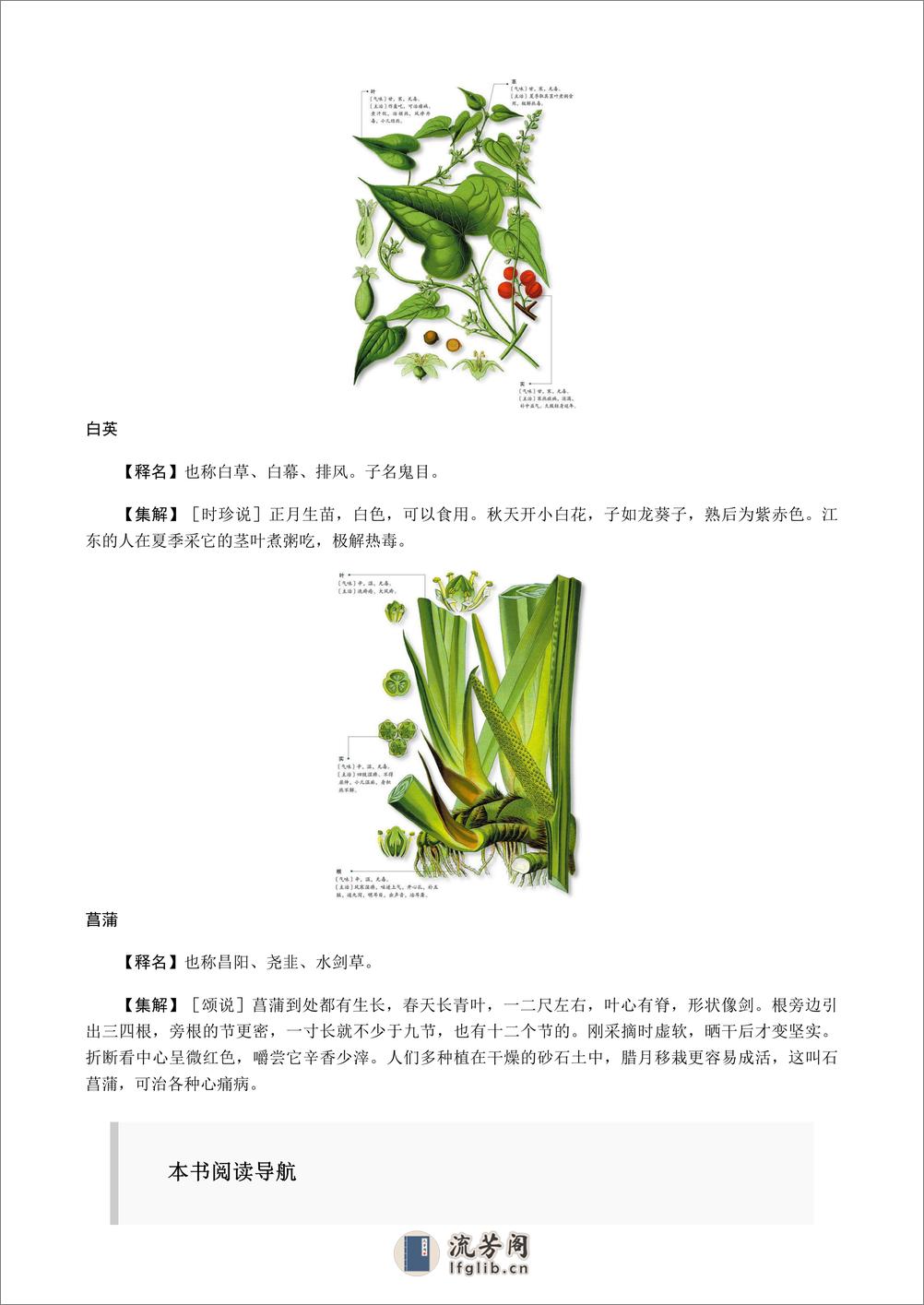 神农本草经 - 第11页预览图