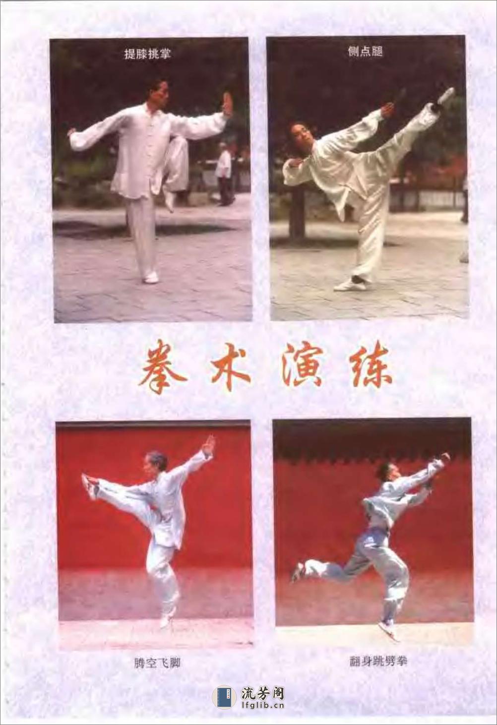 《传统查拳·上卷》刘鸿池 - 第8页预览图