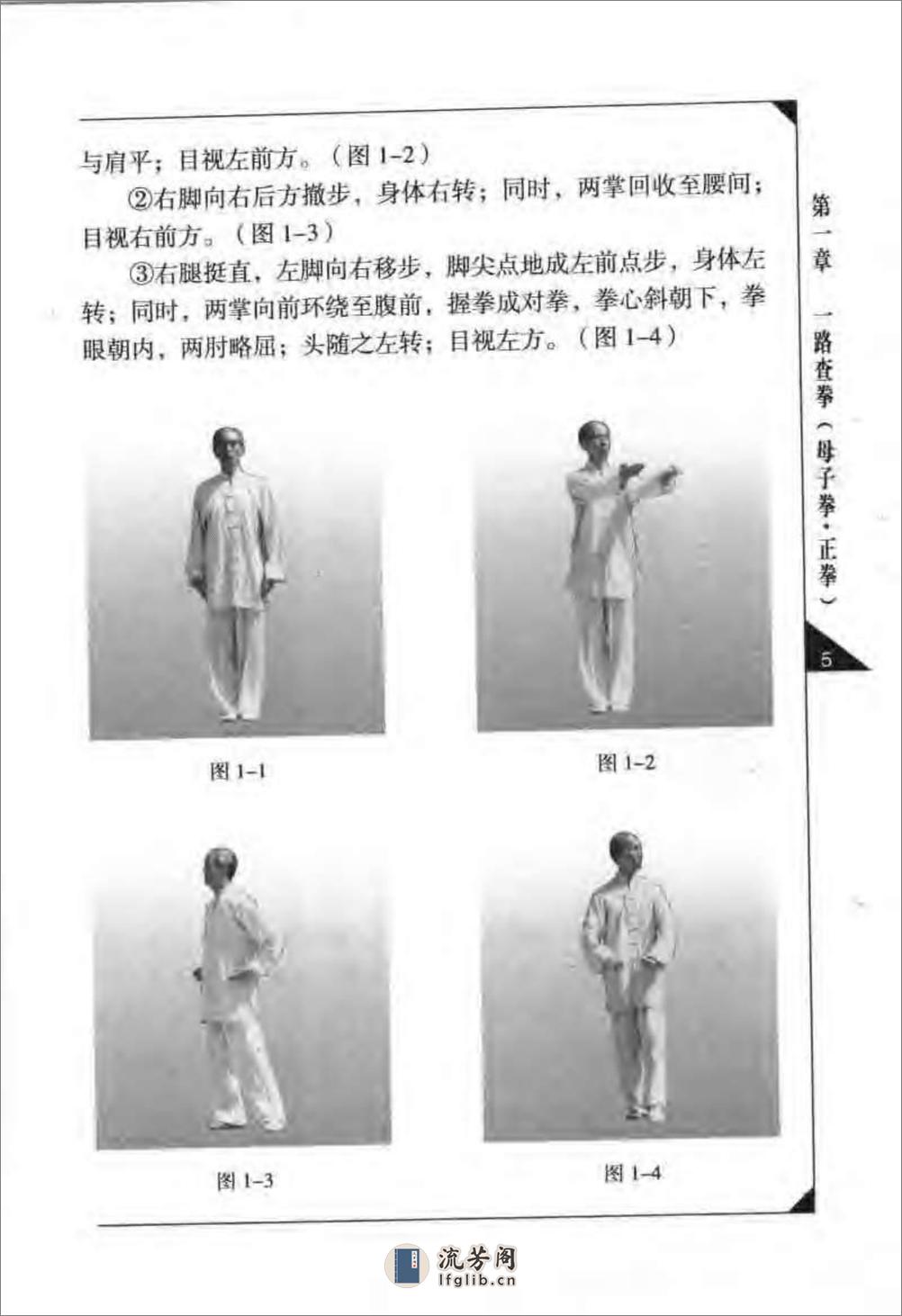 《传统查拳·中卷》刘鸿池 - 第16页预览图