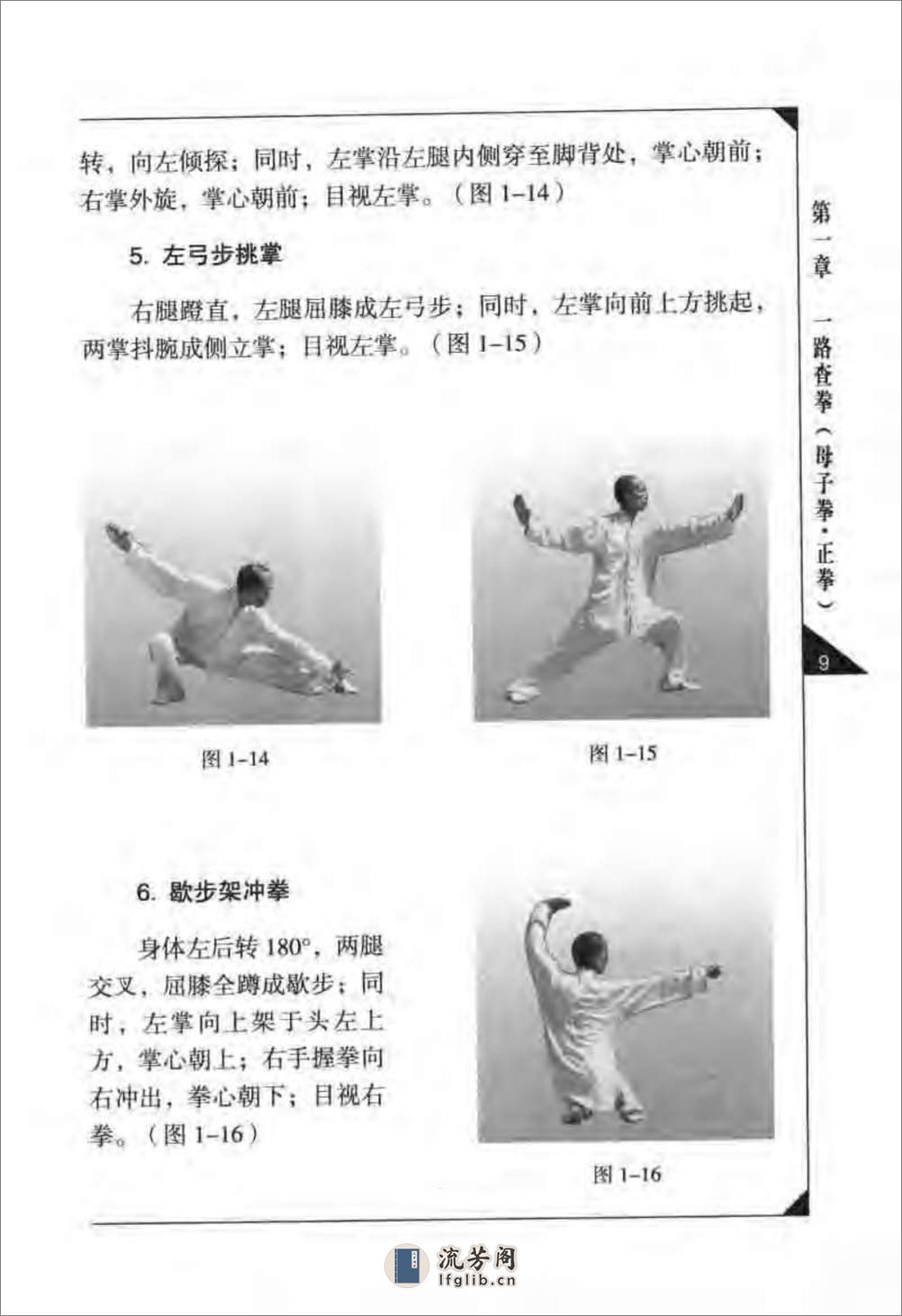 《传统查拳·中卷》刘鸿池 - 第20页预览图