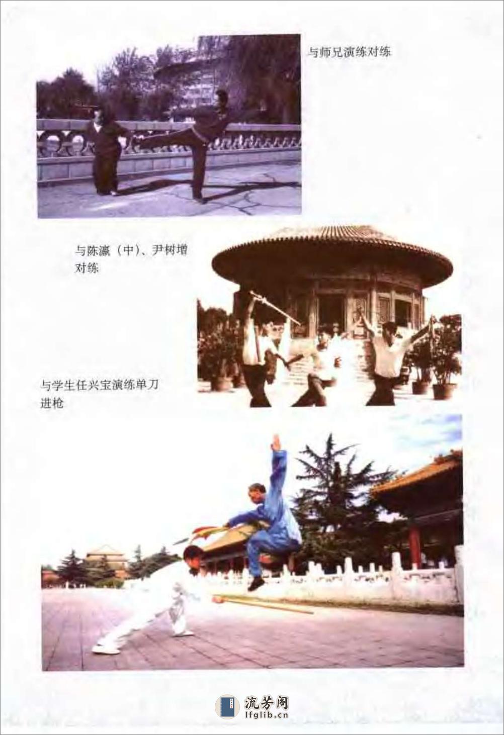 《传统查拳·中卷》刘鸿池 - 第6页预览图