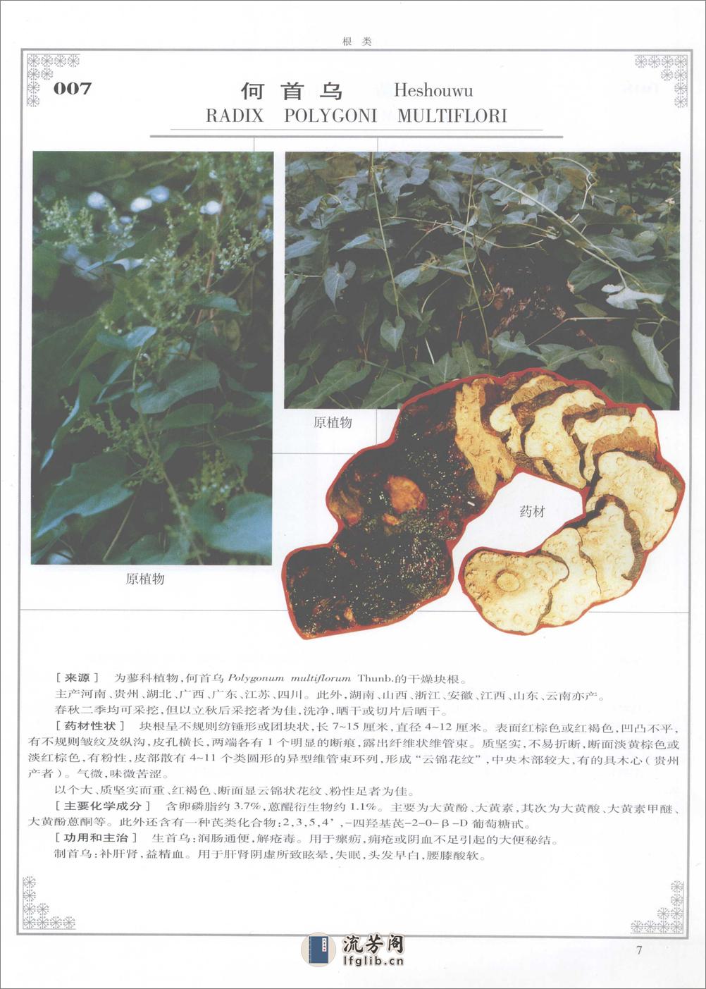 中国常用中草药彩色图谱 - 第18页预览图