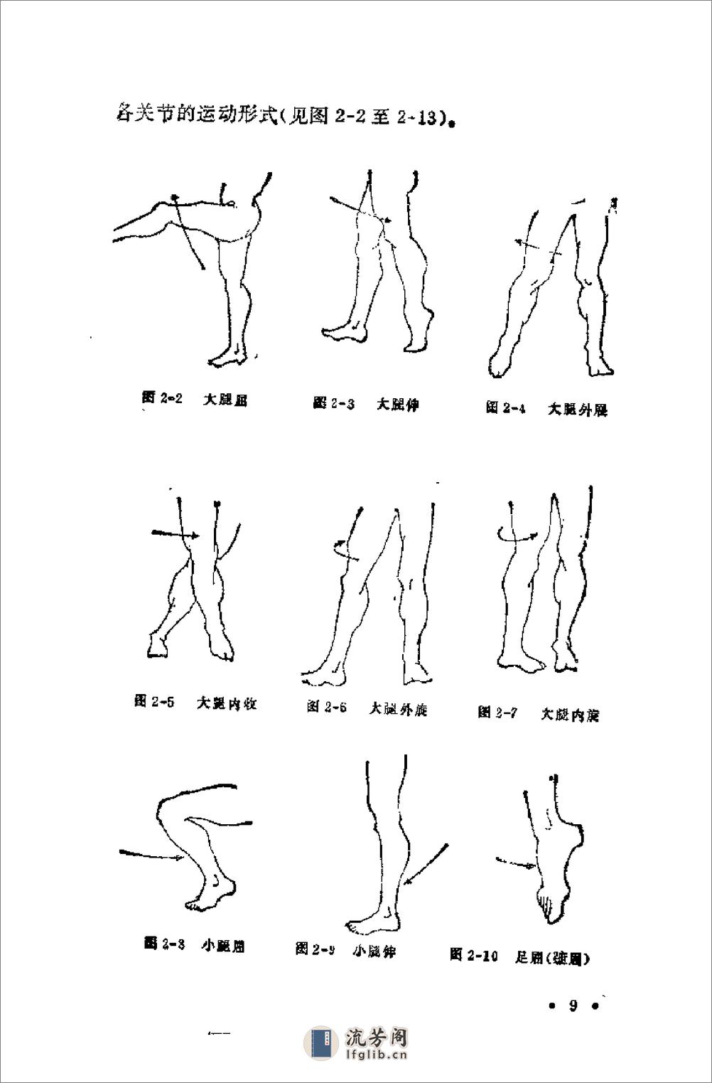 腿法 - 第12页预览图