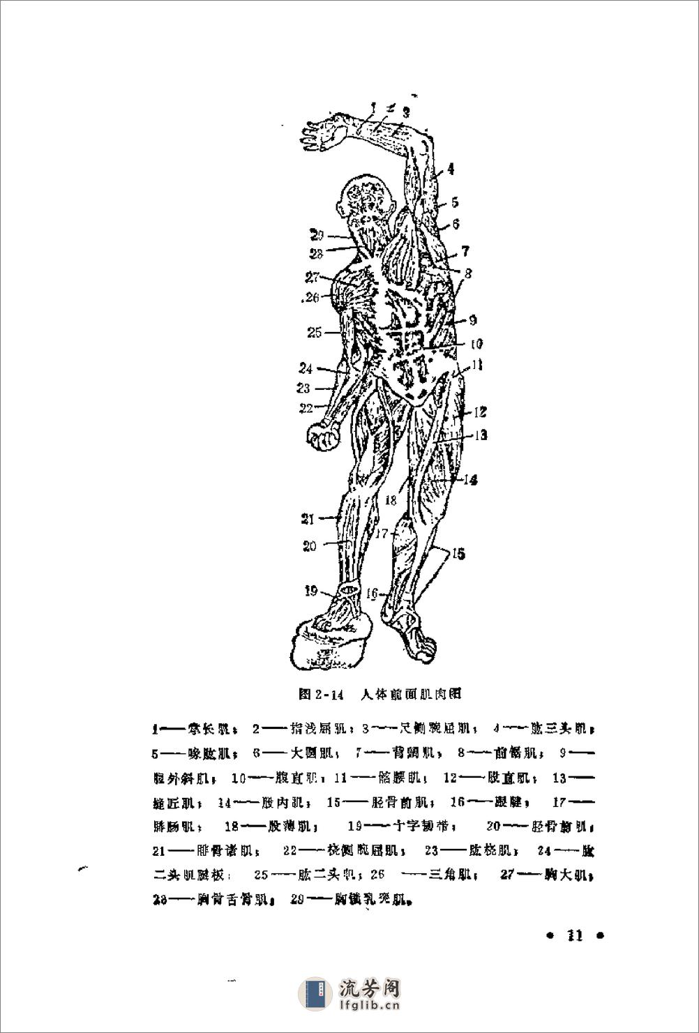 腿法 - 第14页预览图