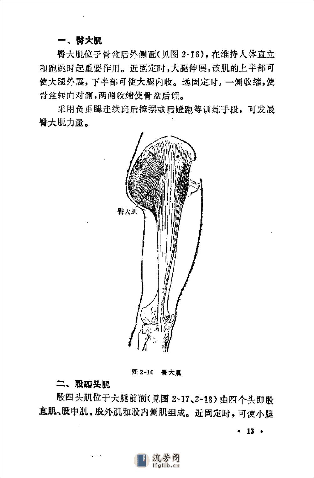 腿法 - 第16页预览图
