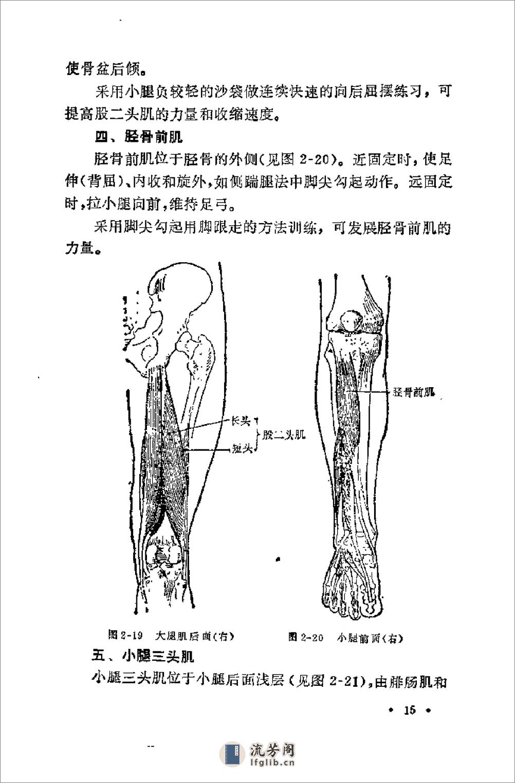 腿法 - 第18页预览图