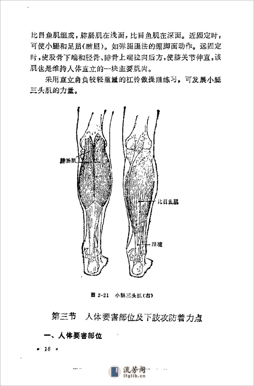 腿法 - 第19页预览图