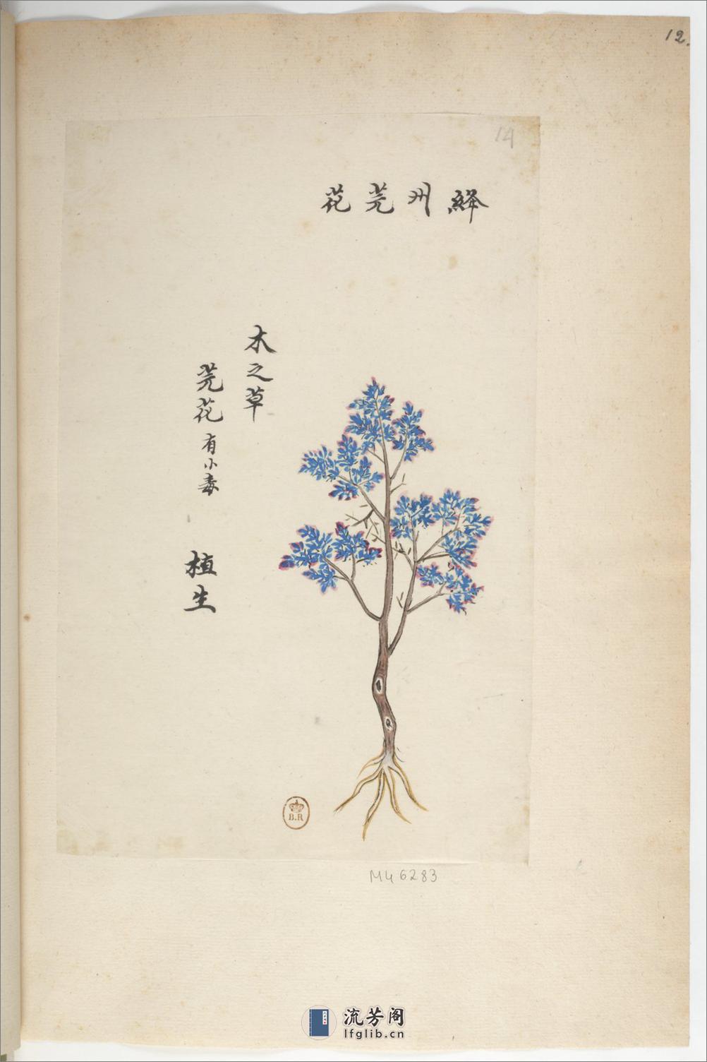 Plantes de la Chine.中国自然历史绘画.植物.花鸟画谱.By Pierre Joseph Buchoz等.19世纪 - 第17页预览图