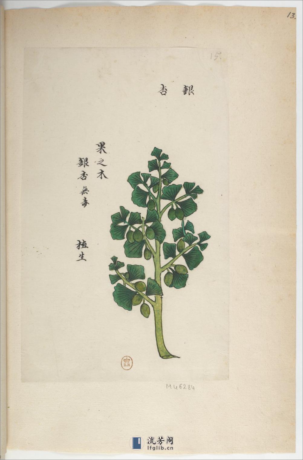 Plantes de la Chine.中国自然历史绘画.植物.花鸟画谱.By Pierre Joseph Buchoz等.19世纪 - 第18页预览图