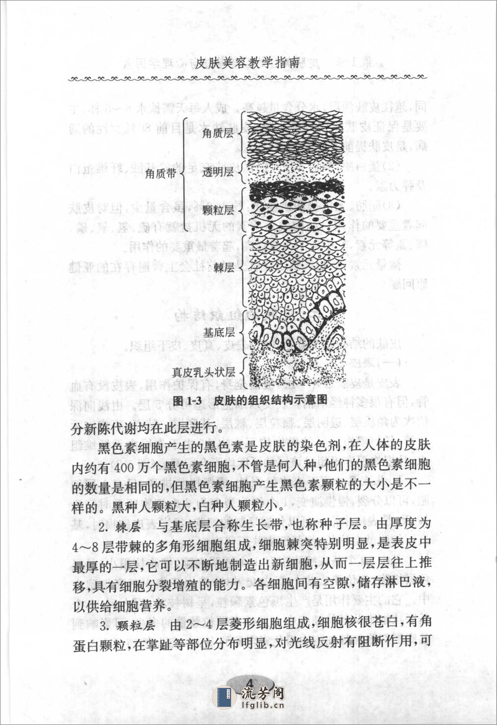 皮肤美容教学指南. - 第20页预览图