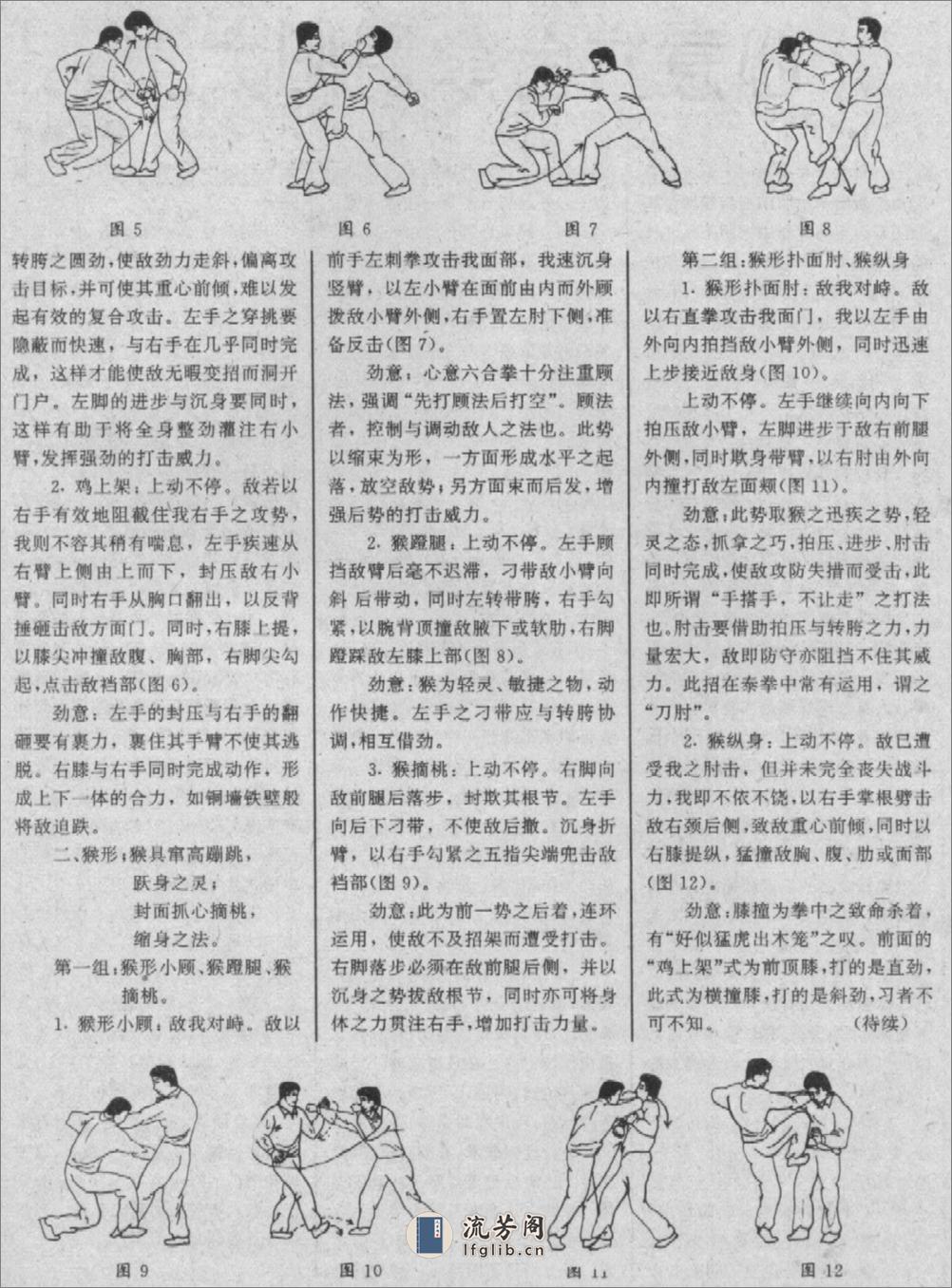 《心意六合拳十大真形技击精要》于化龙、满亚飞、马胜利 - 第2页预览图