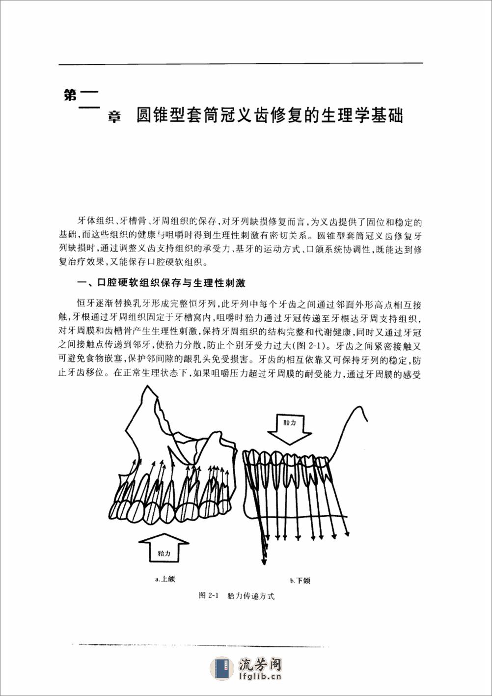 圆锥型套筒冠义齿 (pnw彩)_10855179 - 第10页预览图