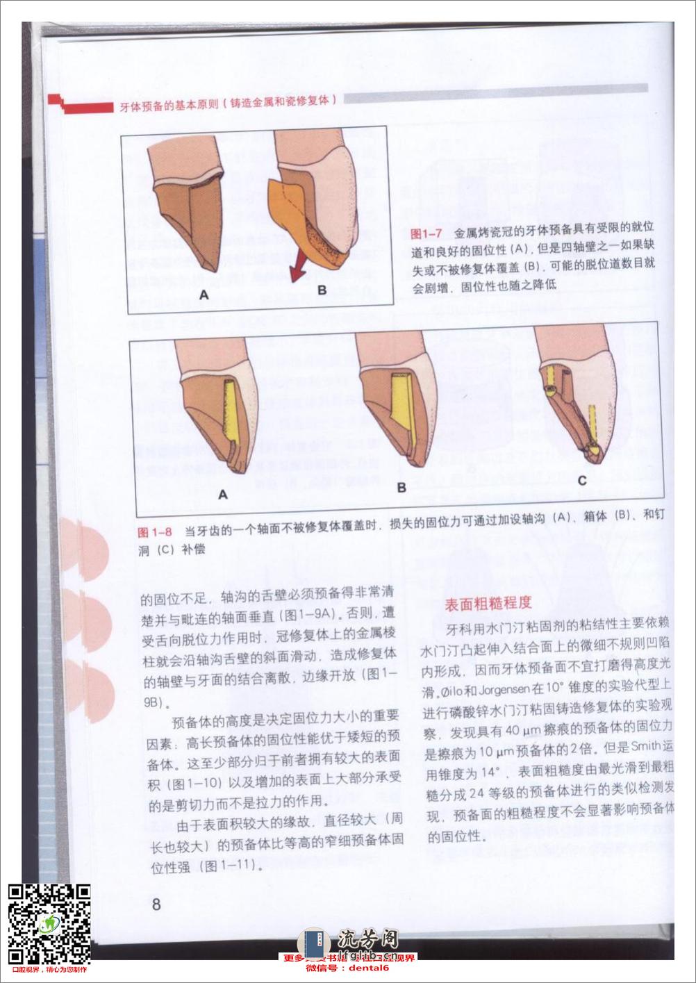 牙体预备的基本原则 - 第10页预览图